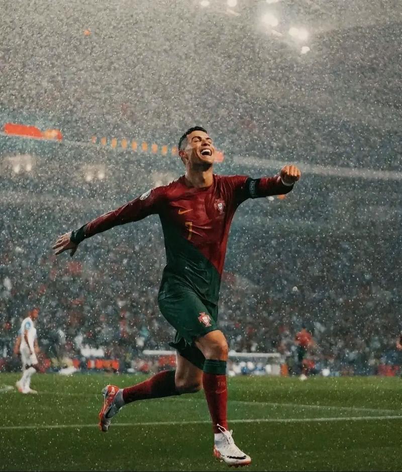 潜在下家已 潜在下家已