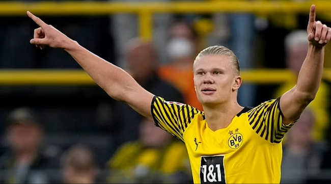 的精英打击 的精英打击