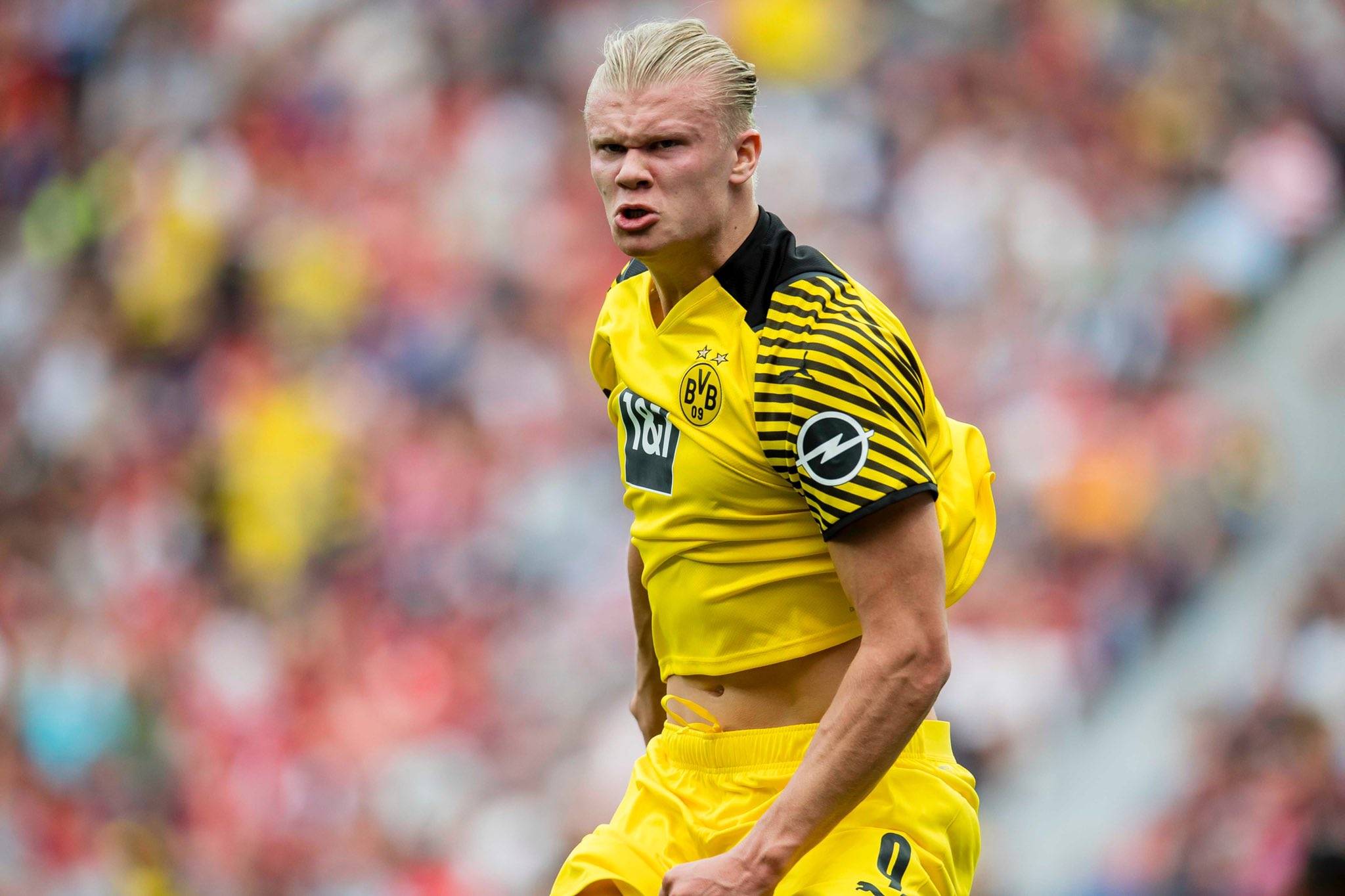 球公开赛上 球公开赛上